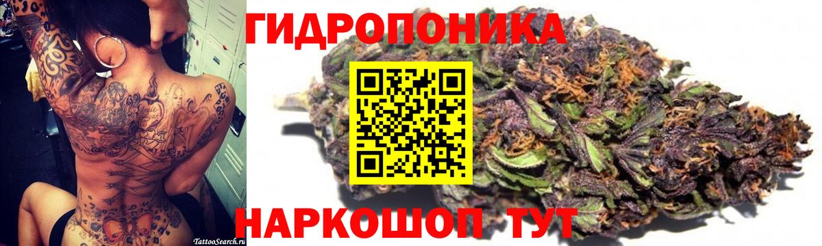 Ленинск-Кузнецкий  Каннабис сатива  МАРИХУАНА планчик  Каннабис AK-47  Вход с VPN 